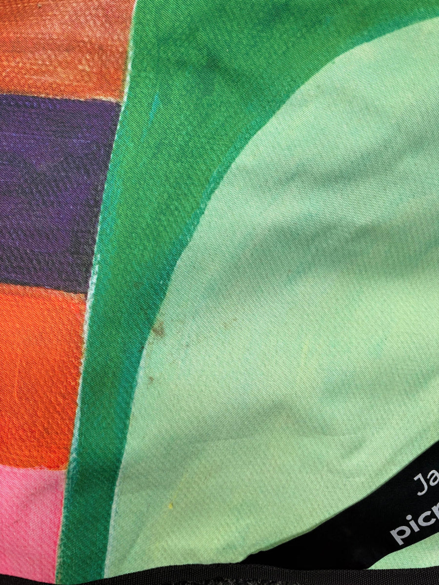 Sample Sale 28/#17 Daydreamer Really Big Picnic Rug and Backpack Set - Umbrella Hole Version
