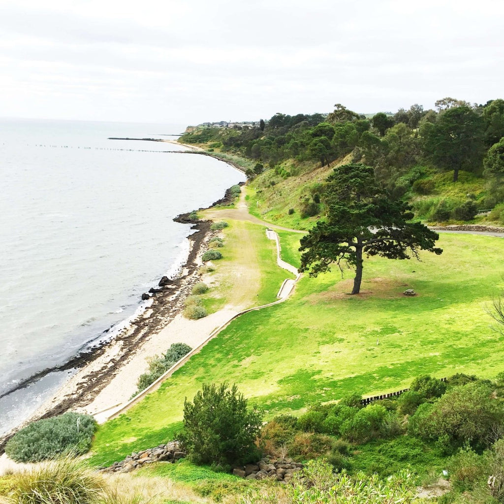 The Dell Clifton Sprngs best picnic spots Geelong Bellarine Surfcoast